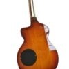 Guitare Rick Turner Modèle 1 C-LB