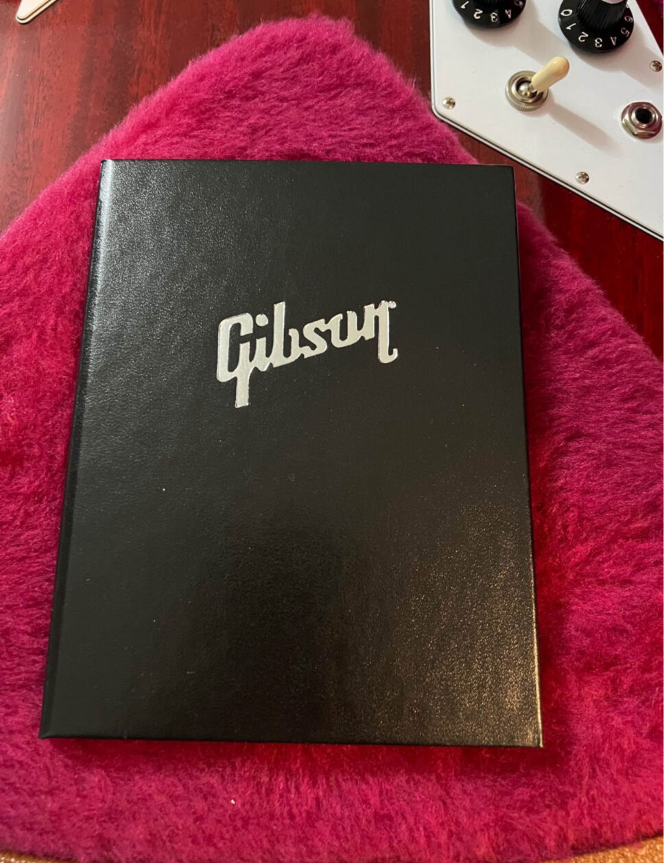 Gibson Flying V Japan exclusive