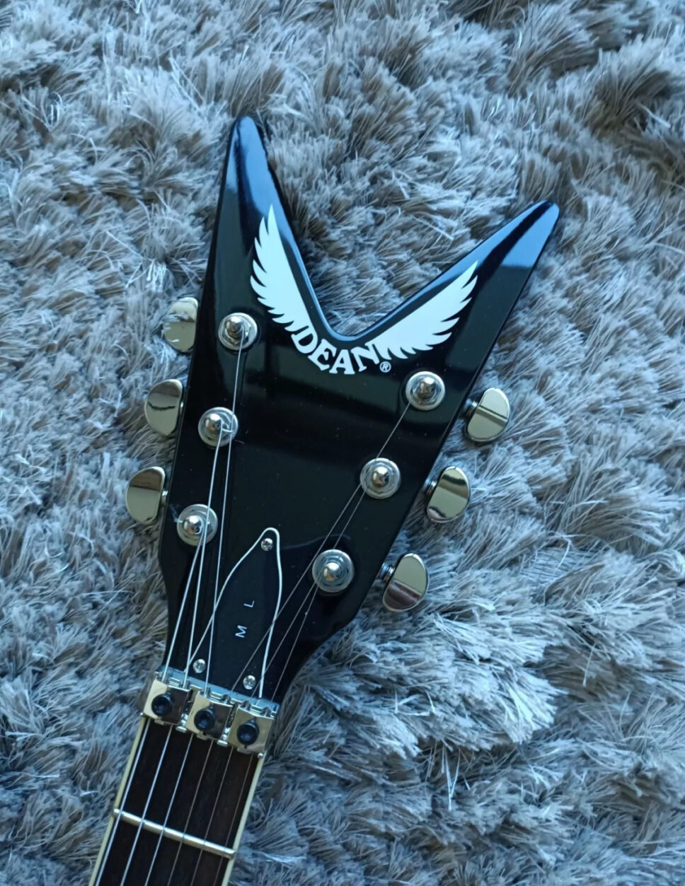 Dean ML 79 Floyd Flame Top with Hard Case