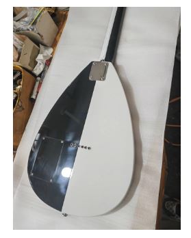 Guitare Électrique Professionnelle JEP