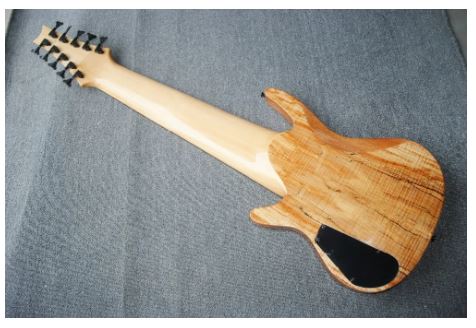 Guitare basse électrique Vintage 10 cordes
