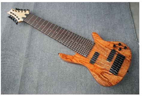 Guitare basse électrique Vintage 10 cordes