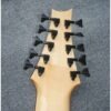 Guitare basse électrique Vintage 10 cordes