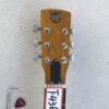 Guitare Dobro Inmedicontract