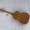 Guitare Dobro Inmedicontract