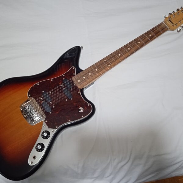 Fender Alternate Reality Electric XII Sunburst