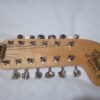 Fender Alternate Reality Electric XII Sunburst