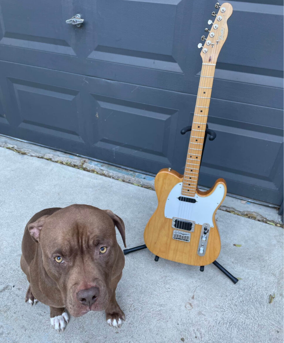 1990 fender telecaster plus natural with original case