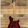 Guitare Électrique Spéciale QM