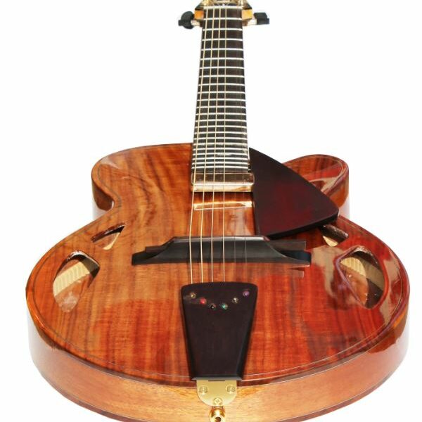 Guitare archtop 15 DN