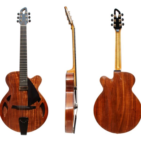 Guitare archtop 15 DN