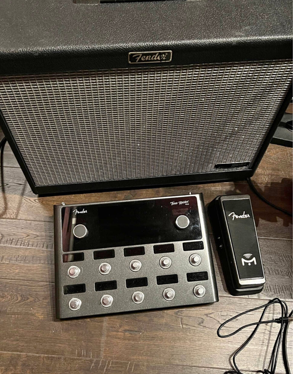 Fender Tone Master Pro w/ cabinet and wah pedal
