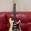 Fender American elite Stratocaster HSS (USA) with cases .