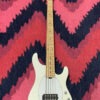 Ernie Ball Music Man - Sterling 5H