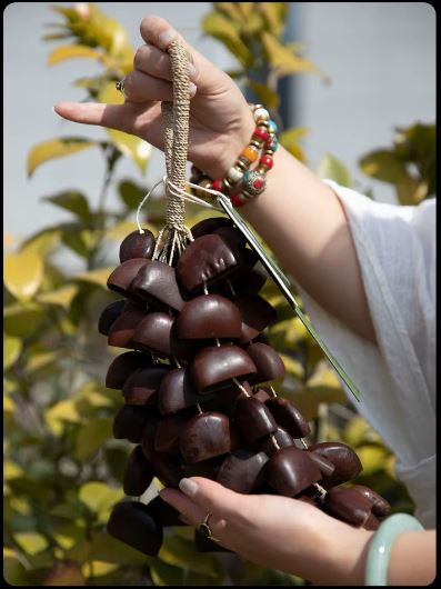 Cloche à Sonnette en Coquillages de Fruits Naturels