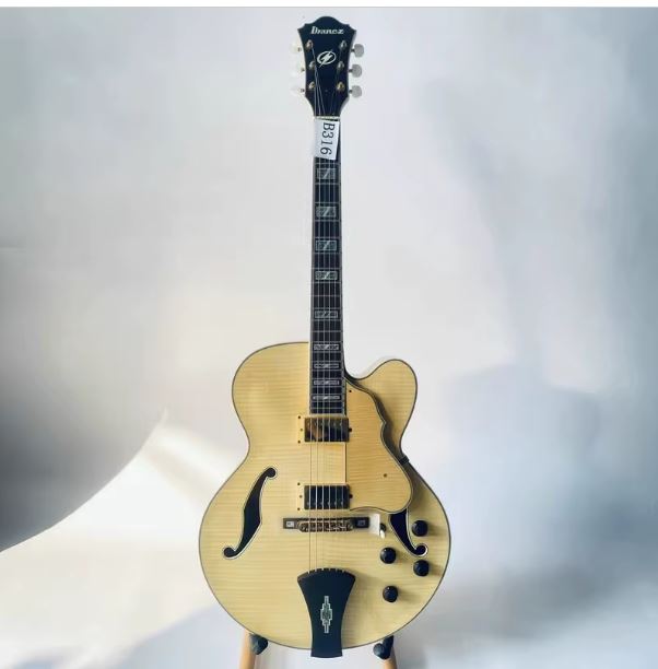 Guitare Acoustique SOUNDLINE AF105