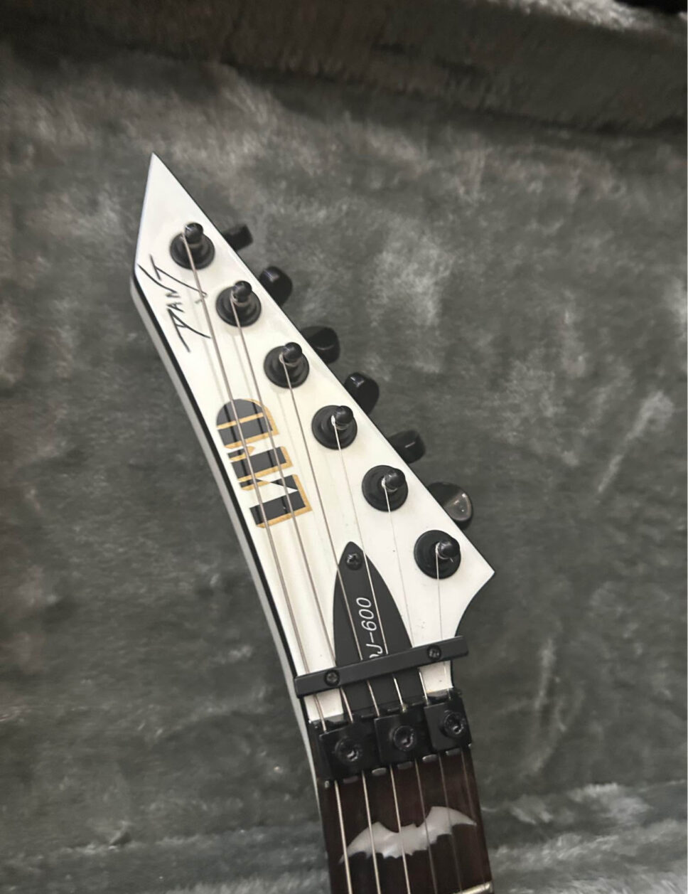 ESP LTD DJ600 Dan Jacobs EX blood splatter