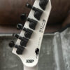 ESP LTD DJ600 Dan Jacobs EX blood splatter