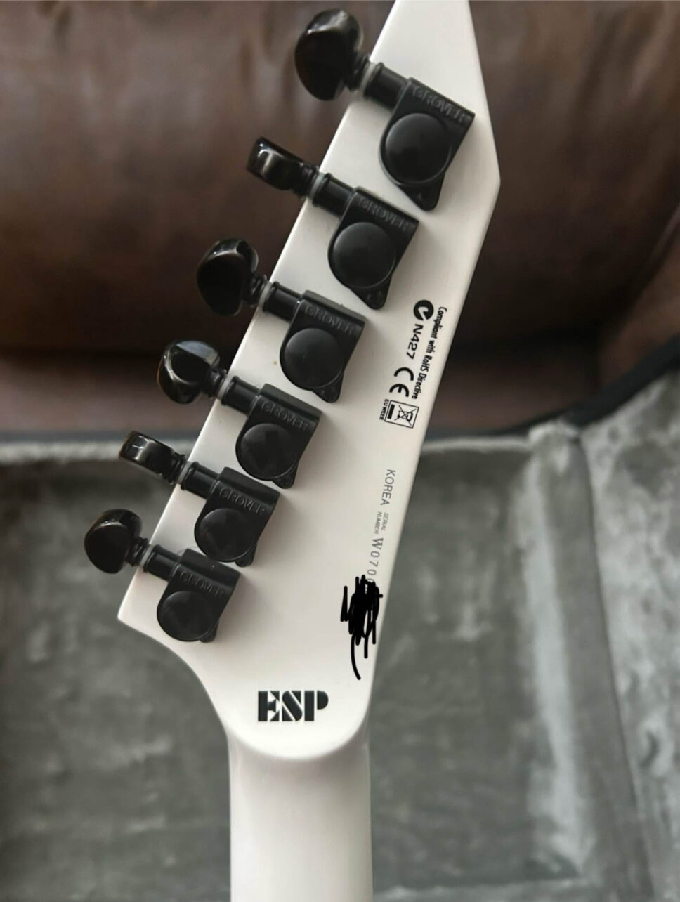 ESP LTD DJ600 Dan Jacobs EX blood splatter