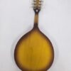 Guitare Mandoline - Modèle MDL-2