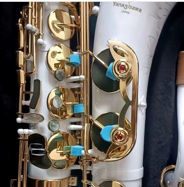Saxophone Ténor Classique - Bloc Bicolore 030 Bb