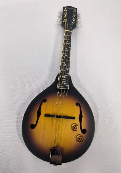 Mandoline Électrique Mandrist - Modèle MDL-1 avec Égaliseur