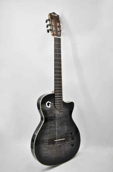 Guitare Acoustique Geake G-1621