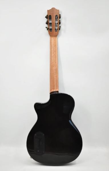 Guitare Acoustique Geake G-1621
