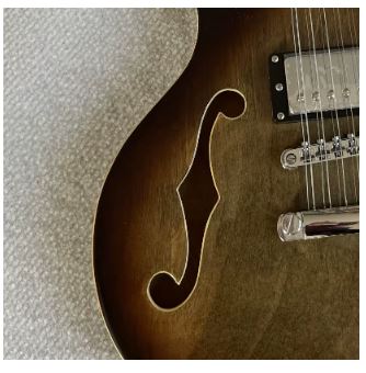 Guitare Électrique Jazz 12 Cordes