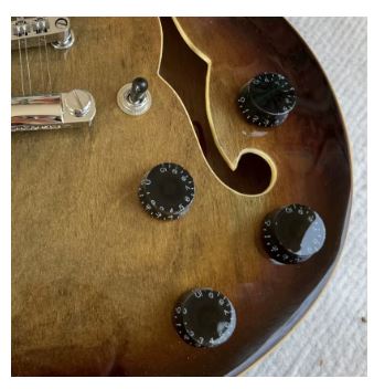 Guitare Électrique Jazz 12 Cordes