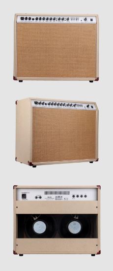 Amplificateur WA-60 - 60W