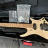 Strandberg boden nx7 with trem