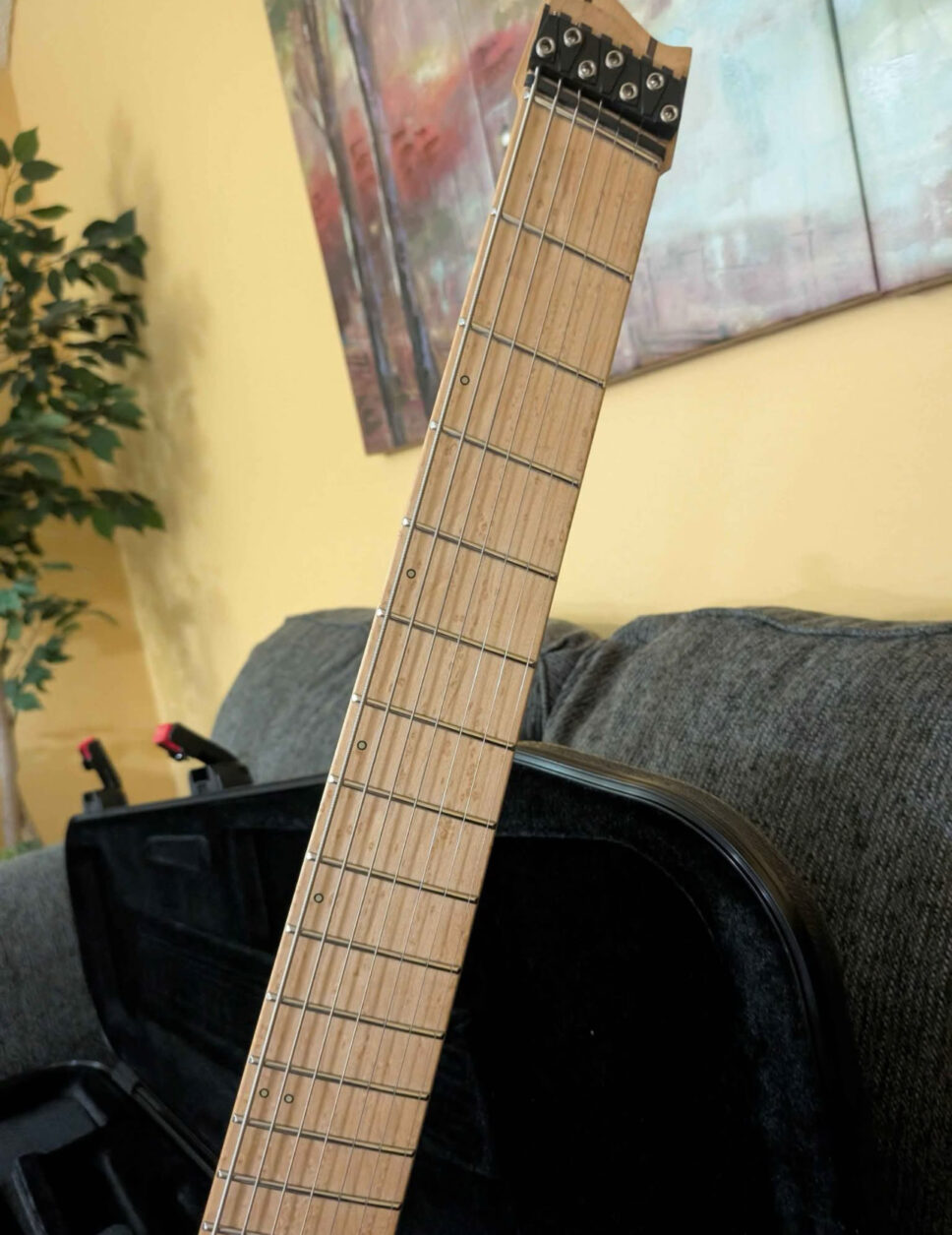 Strandberg boden nx7 with trem