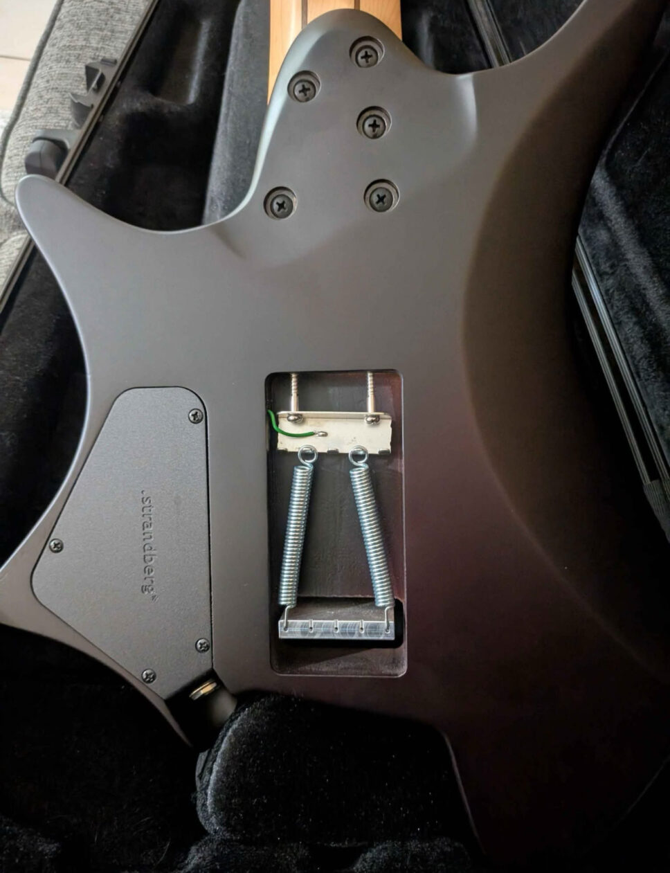 Strandberg boden nx7 with trem