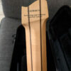 Strandberg boden nx7 with trem